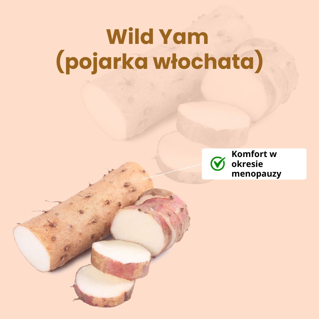 (Polština) (47)